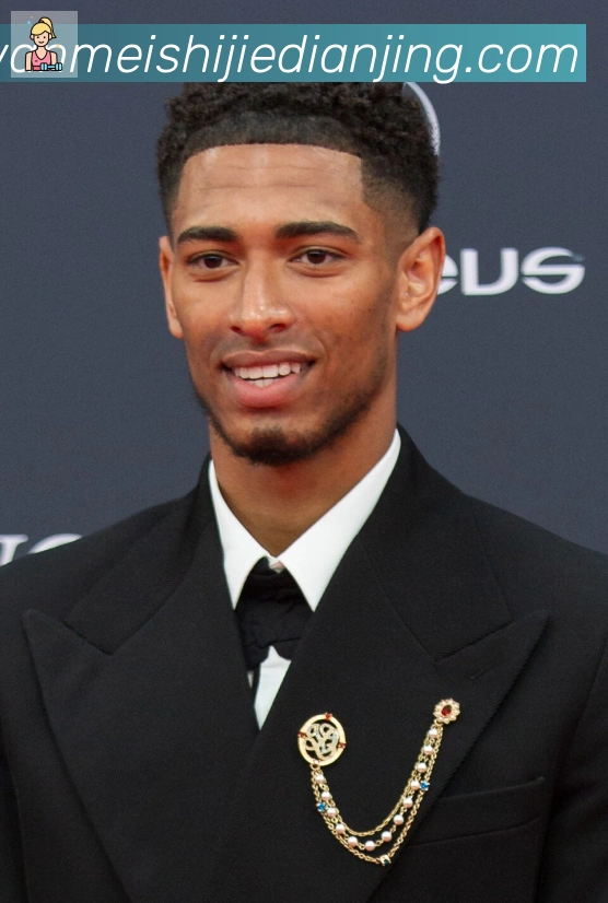 维尼修斯